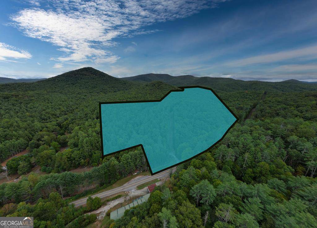 Suches, GA 30572,24481 Morganton HWY