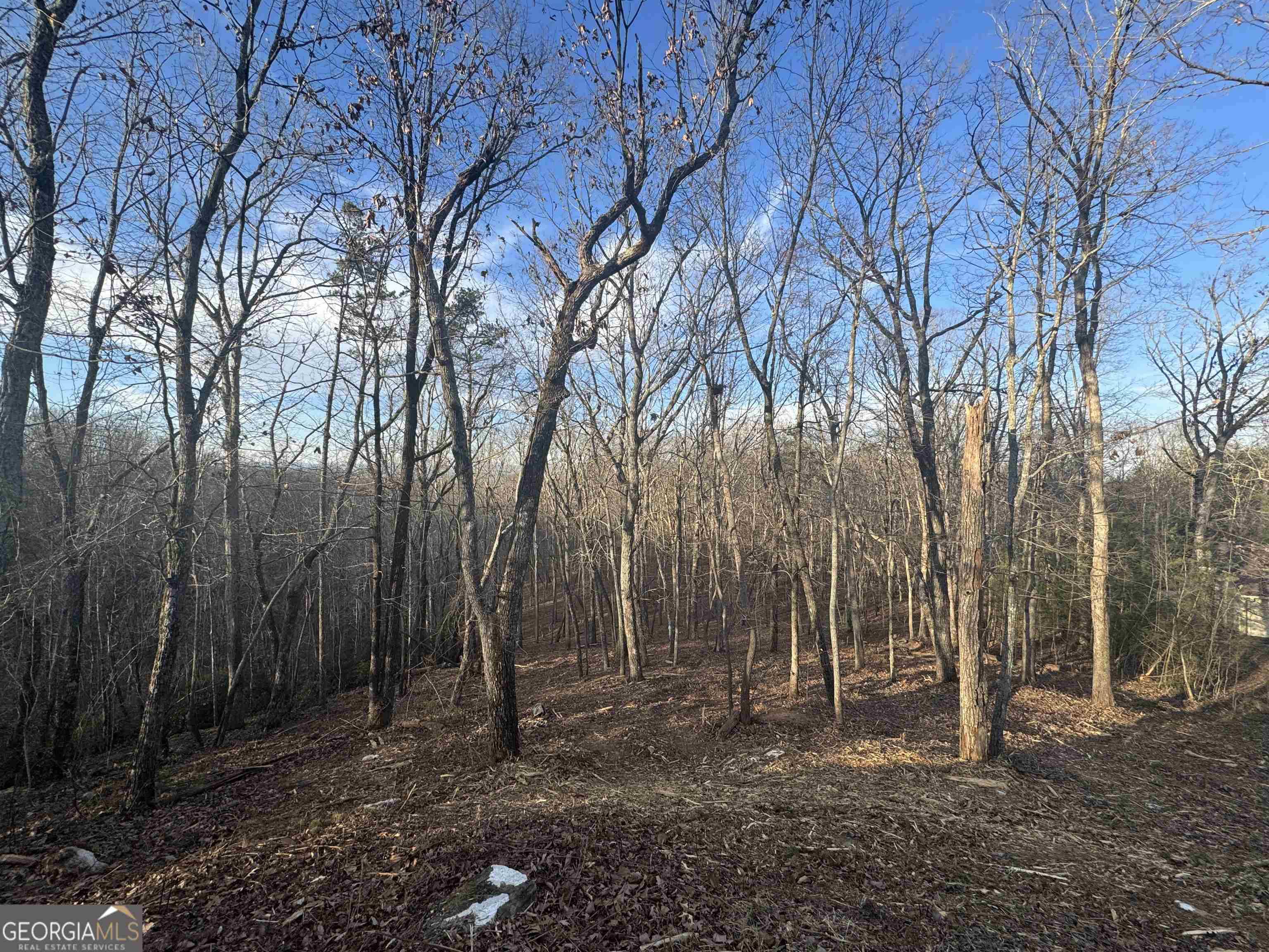 Cleveland, GA 30528,LOT 57 Teel Mtn DR