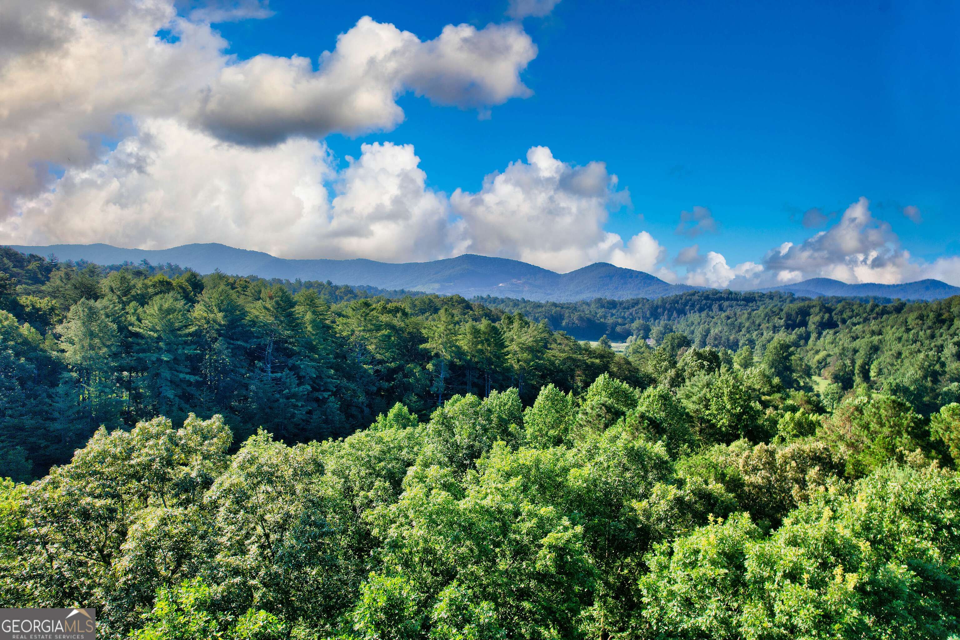 Ellijay, GA 30540,325 Weoka CT