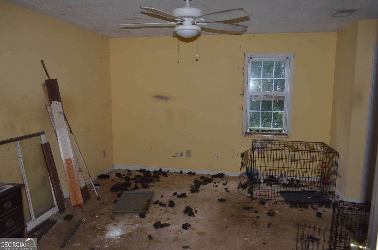 Forsyth, GA 31029,22 Brooklyn