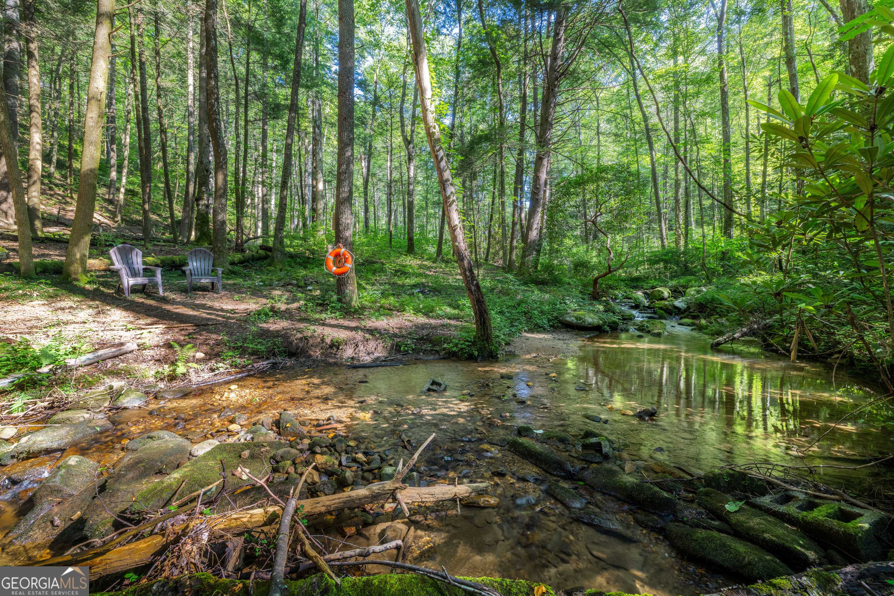 Ellijay, GA 30540,76 Creekside RD