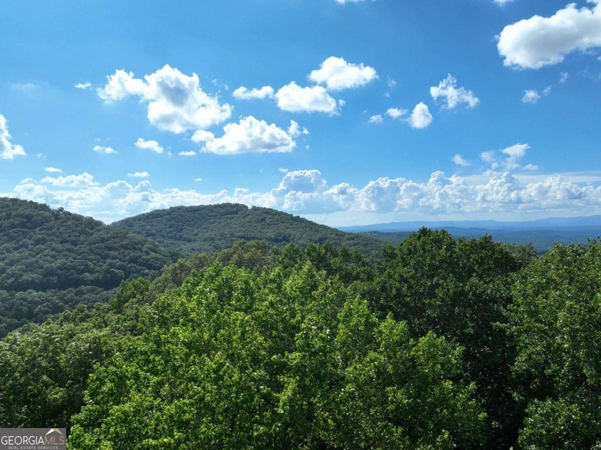 Ellijay, GA 30536,32 Highline DR