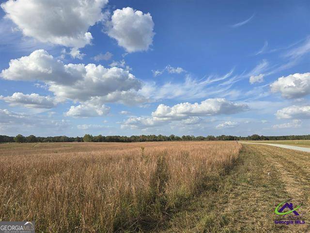 Cochran, GA 31014,16 Hay Field RD
