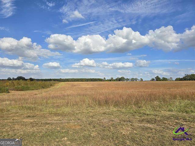 Cochran, GA 31014,18 Hay Field RD