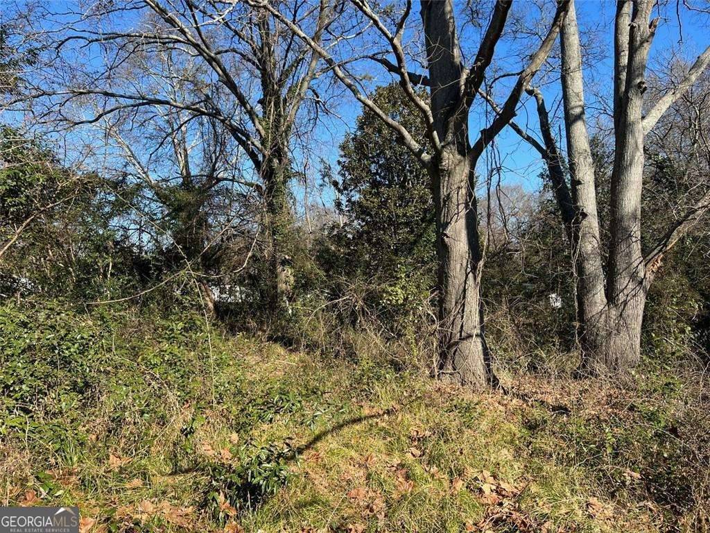 Newnan, GA 30263,113 W Washington ST