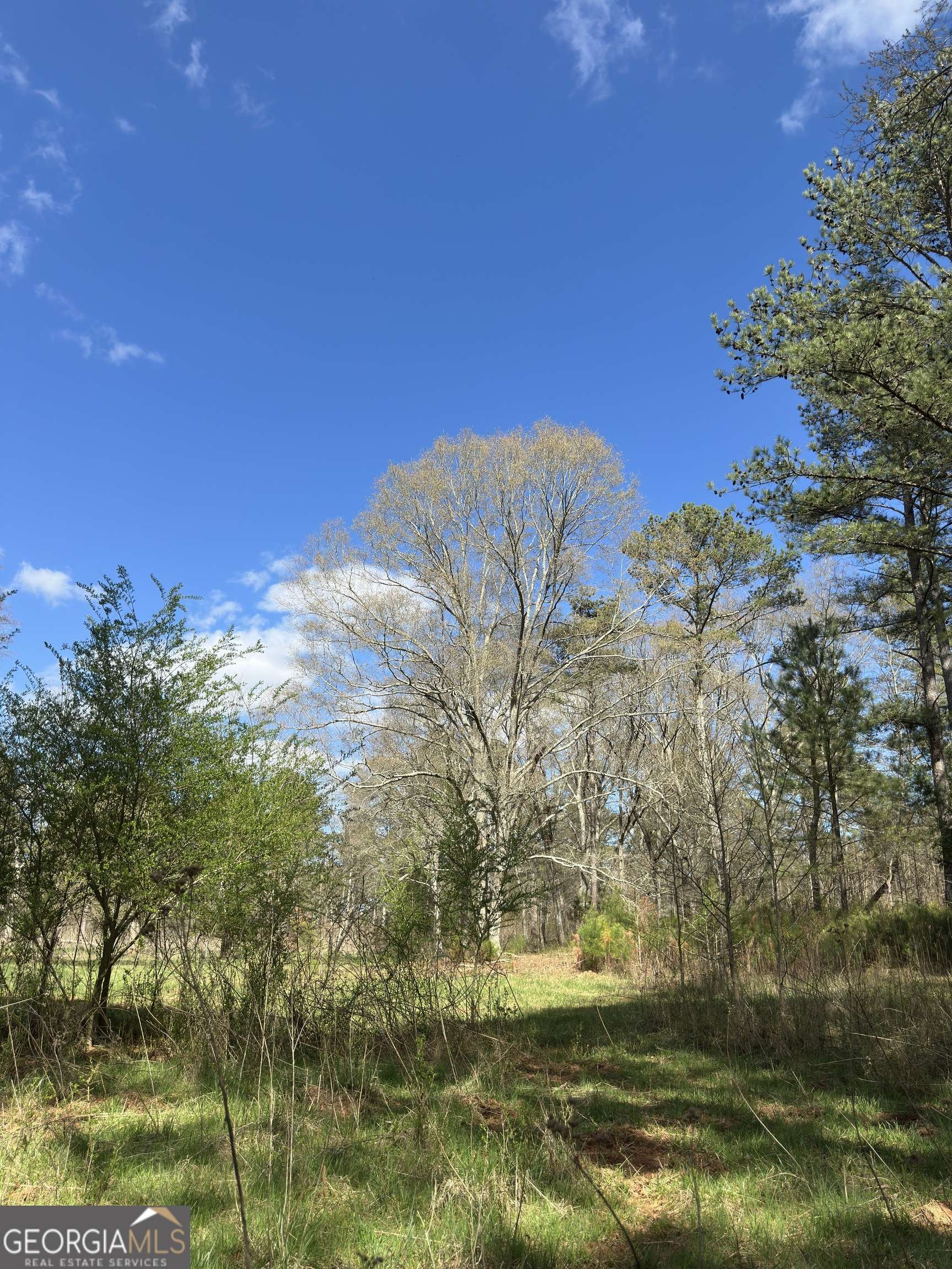 Carlton, GA 30627,0 Watson Mill RD