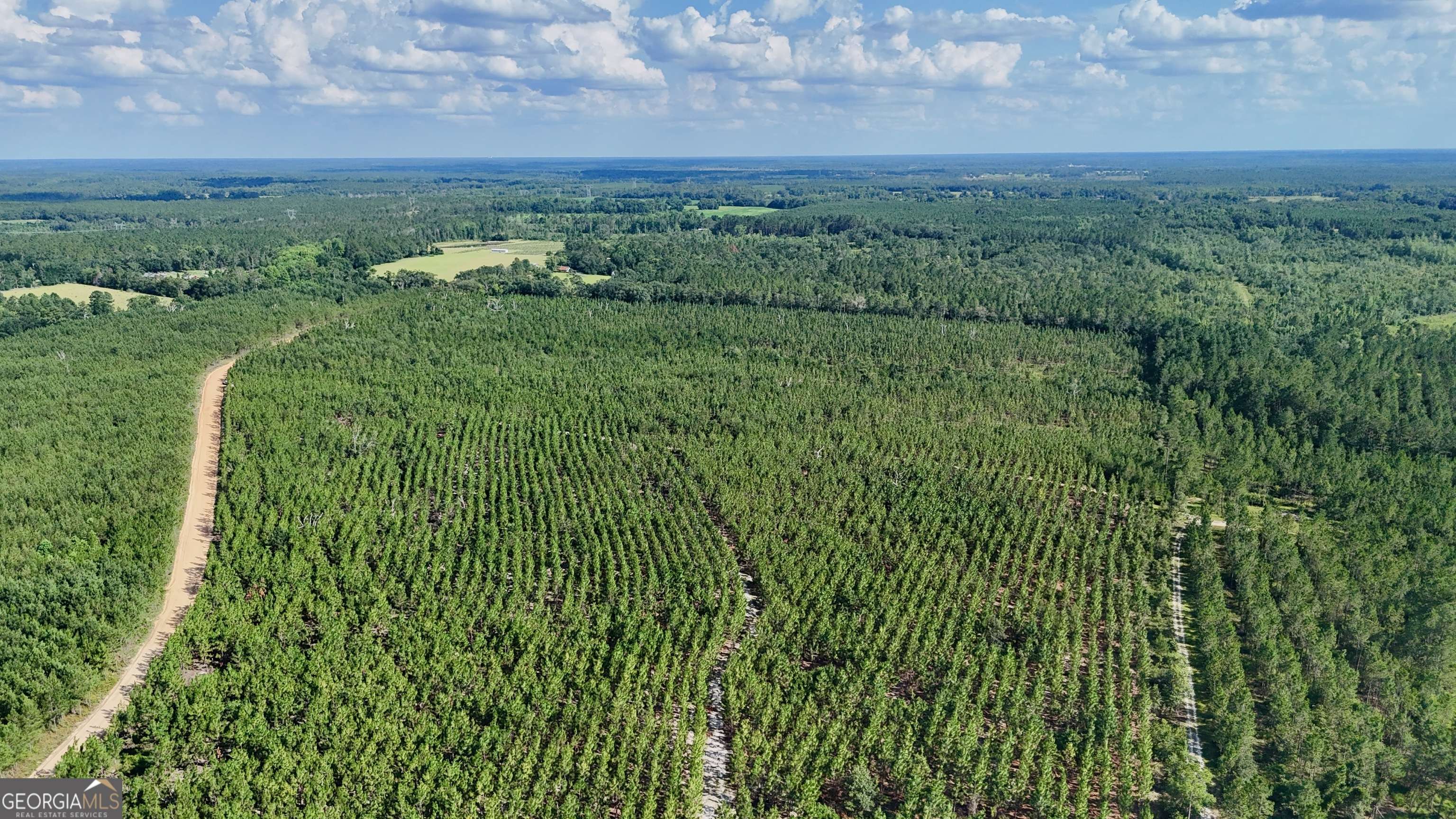 Baxley, GA 31513,0 Penny Morris RD