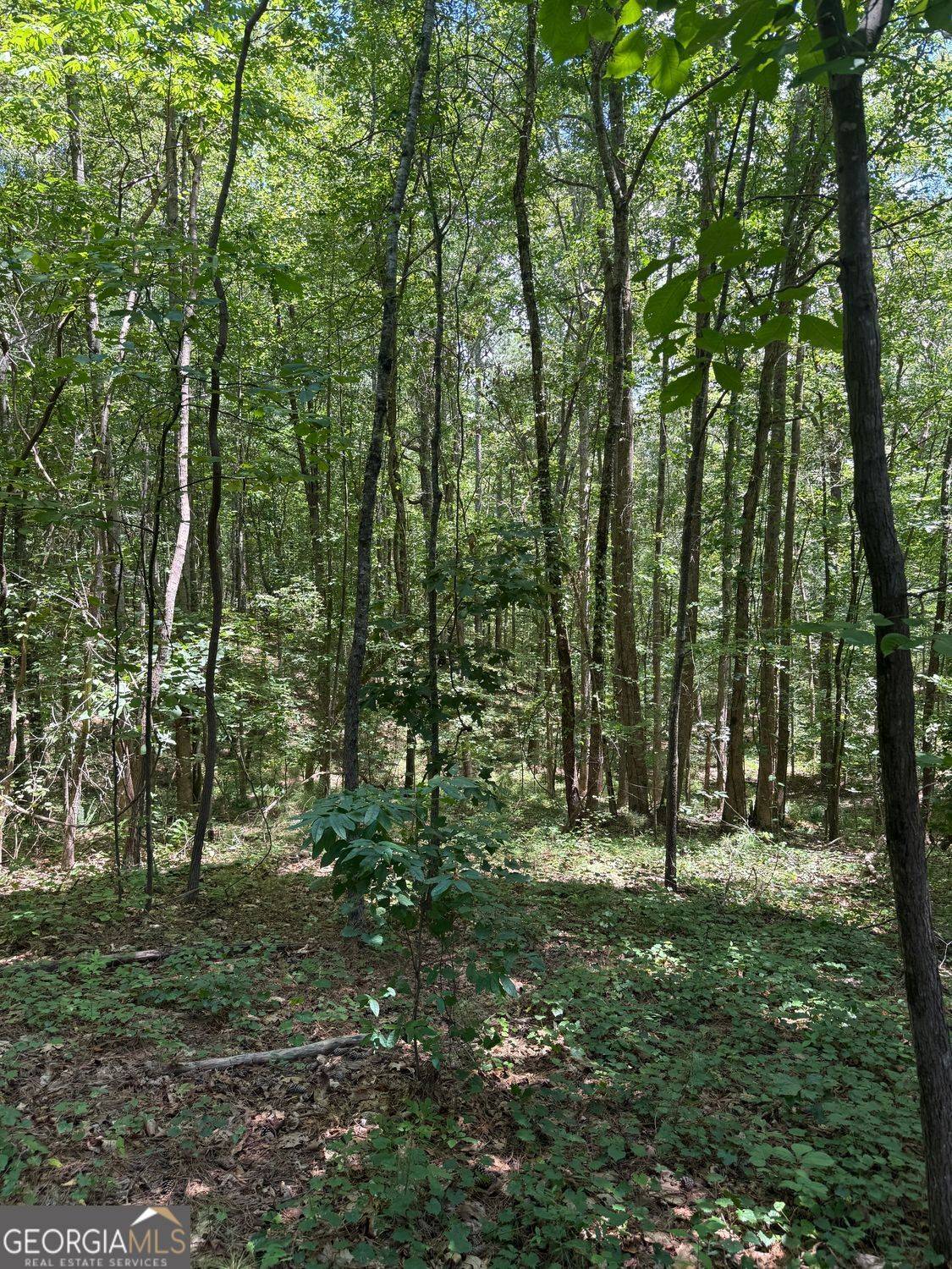 Canton, GA 30114,15 Sweetwater Creek DR