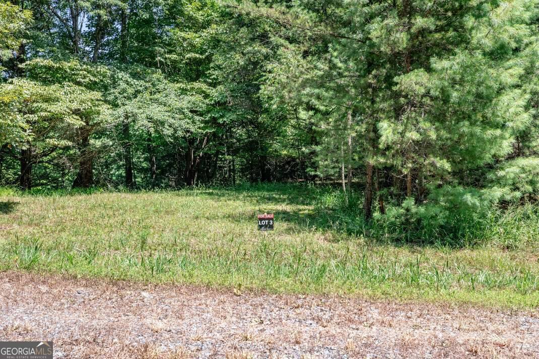 Mineral Bluff, GA 30559,LOT 3 Rocking Chair RDG