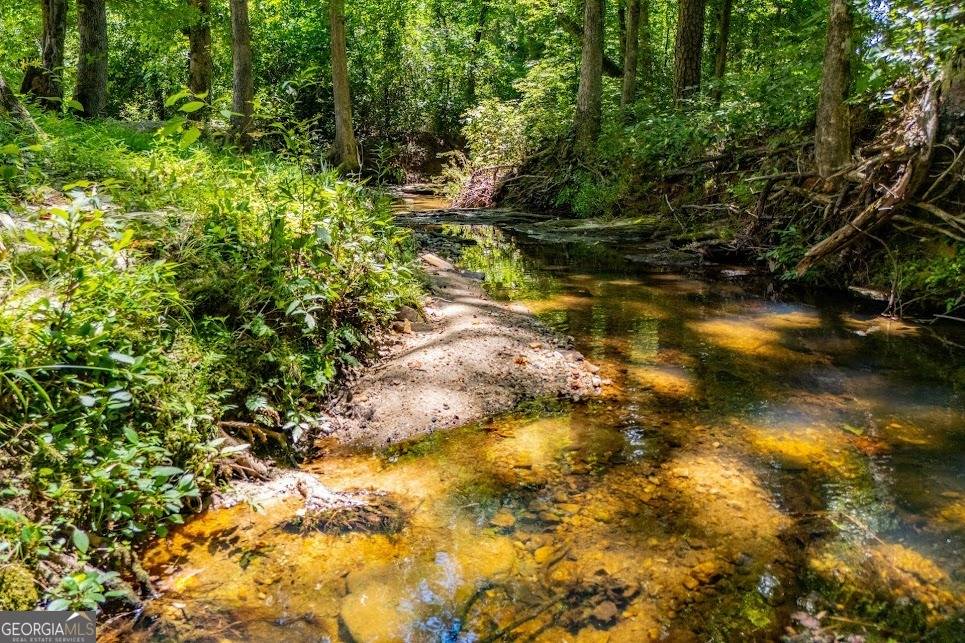 Lawrenceville, GA 30043,955 Pointers WAY