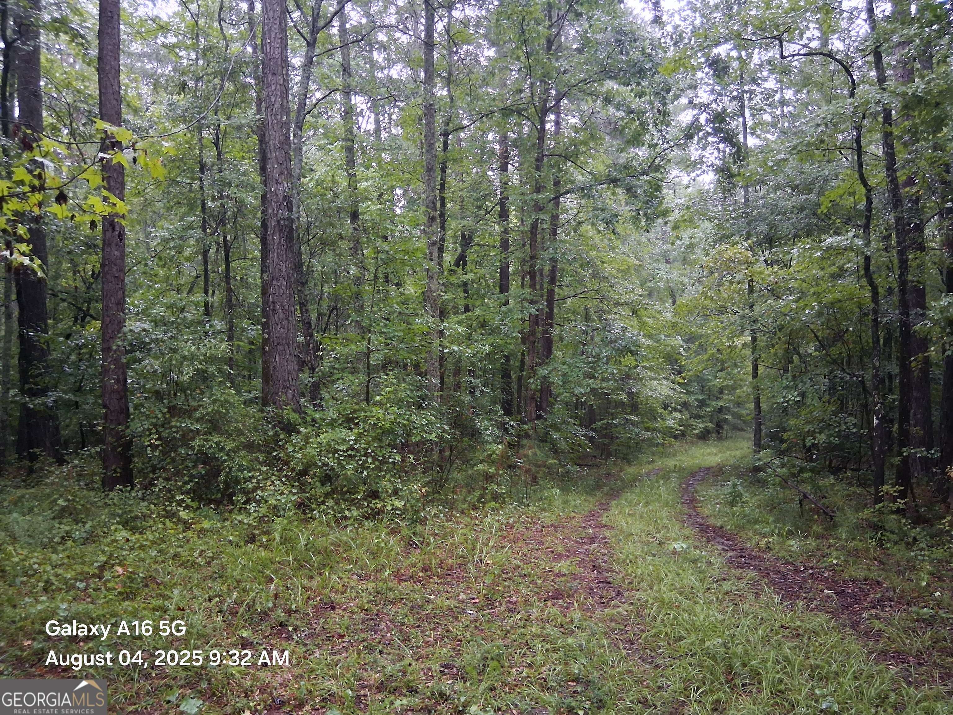 Senoia, GA 30276,2800 Highway 54