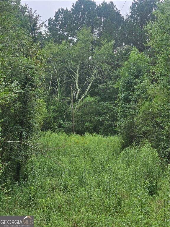Adairsville, GA 30103,0 Crowe Springs SPUR NW