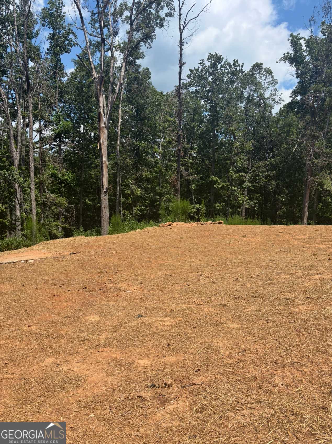 Fairburn, GA 30213,10130 Rivertown RD