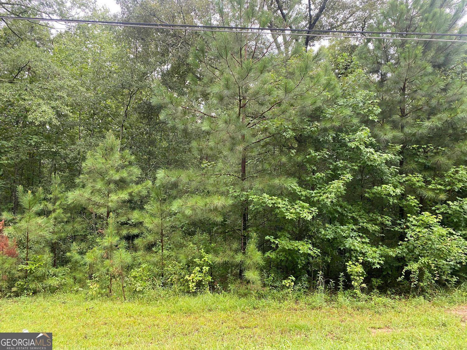 Grantville, GA 30220,0 Holtzclaw RD