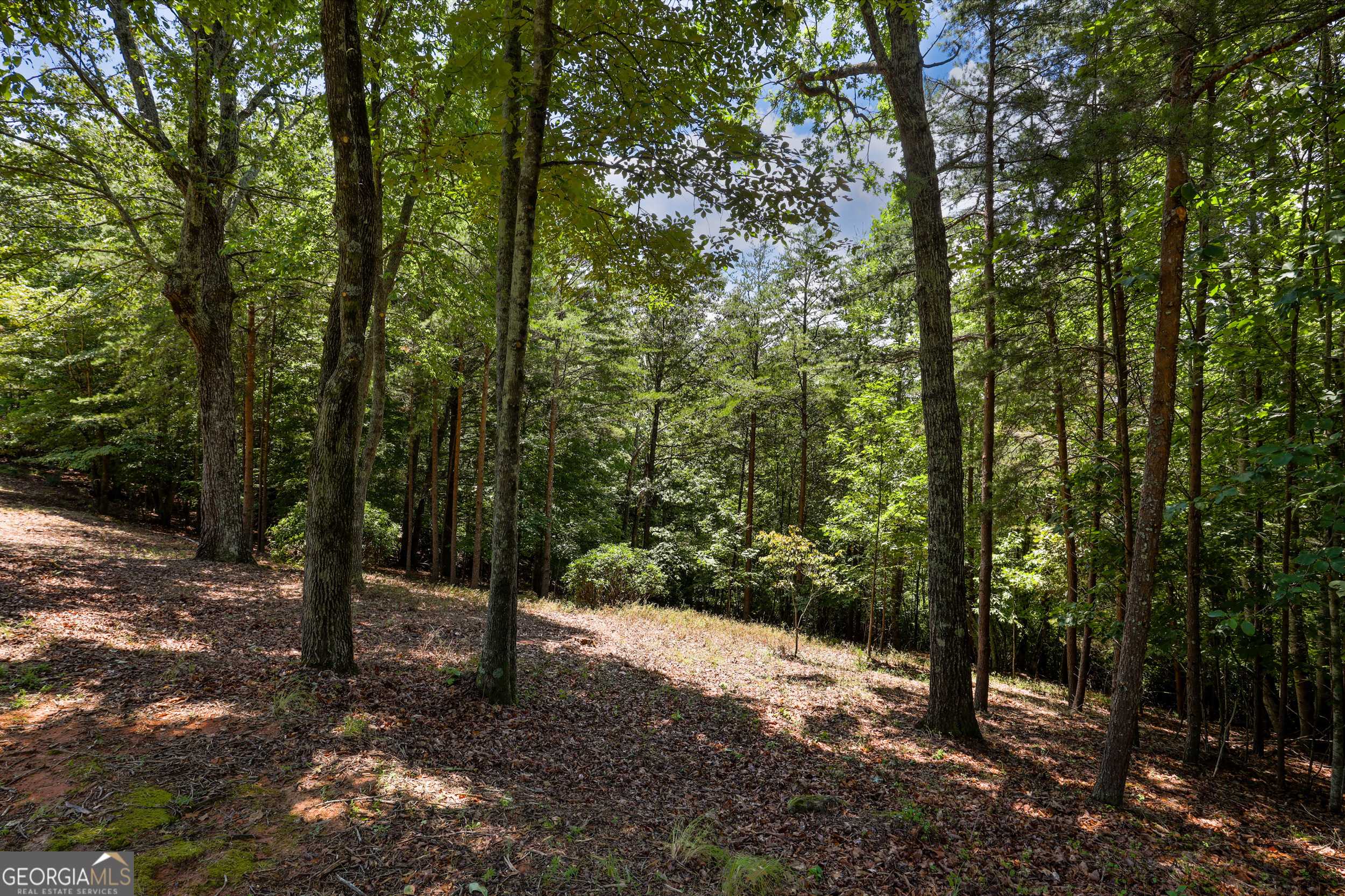 Cleveland, GA 30528,0 Laceola South Rd Lot 120