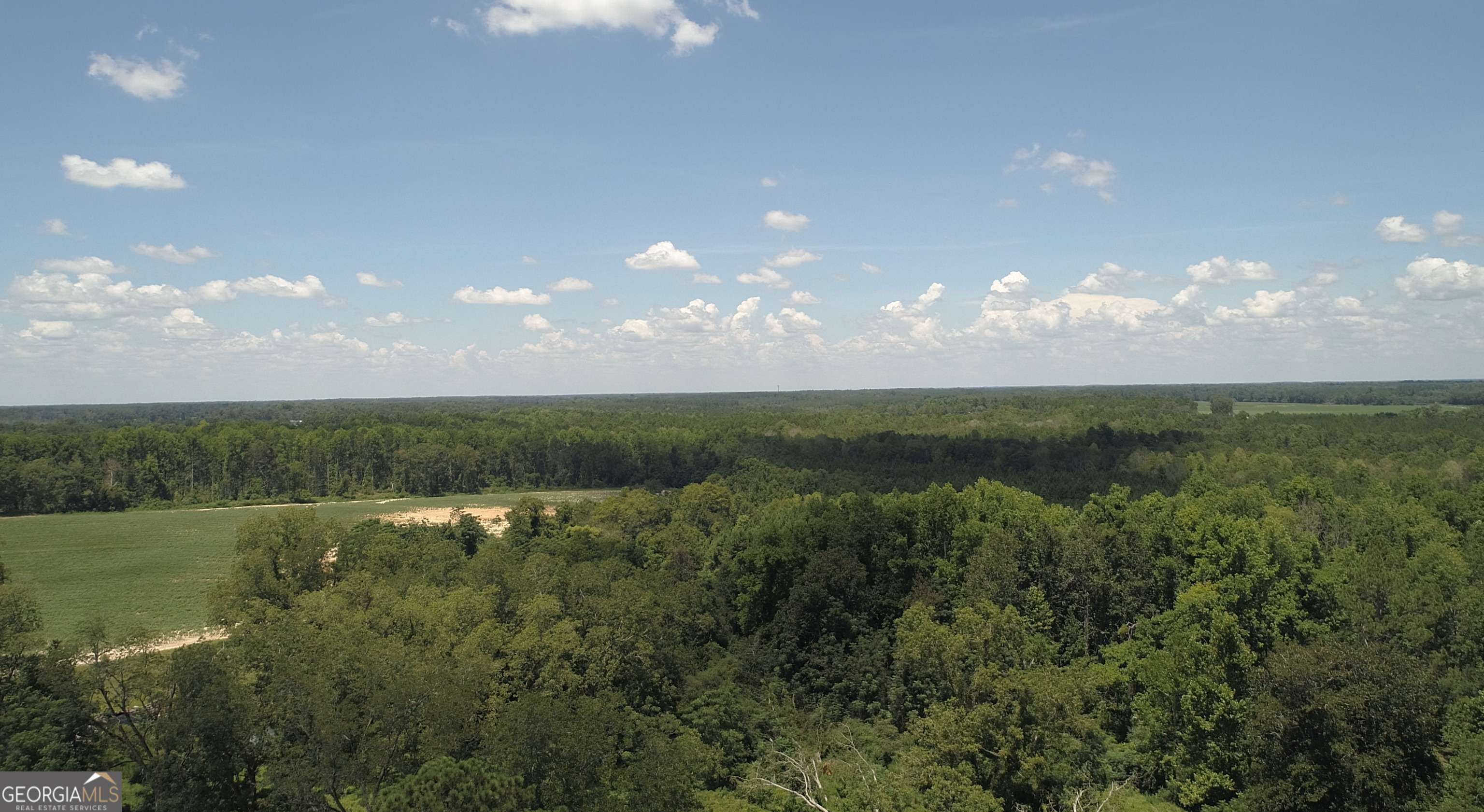 Reidsville, GA 30453,223 CLLYDE WILLIAMS RD