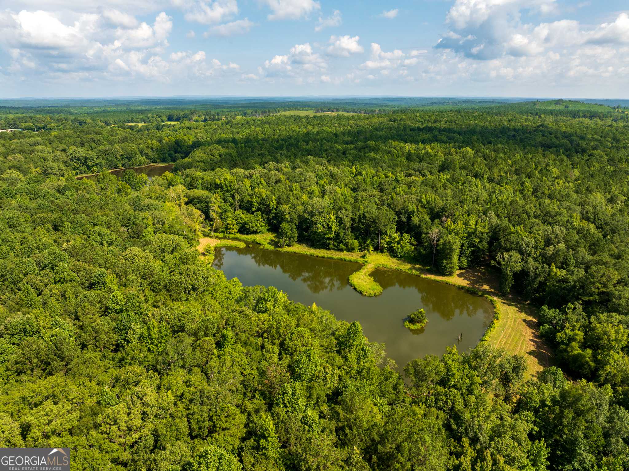 Butler, GA 31006,110 ACRES Talbotton HWY