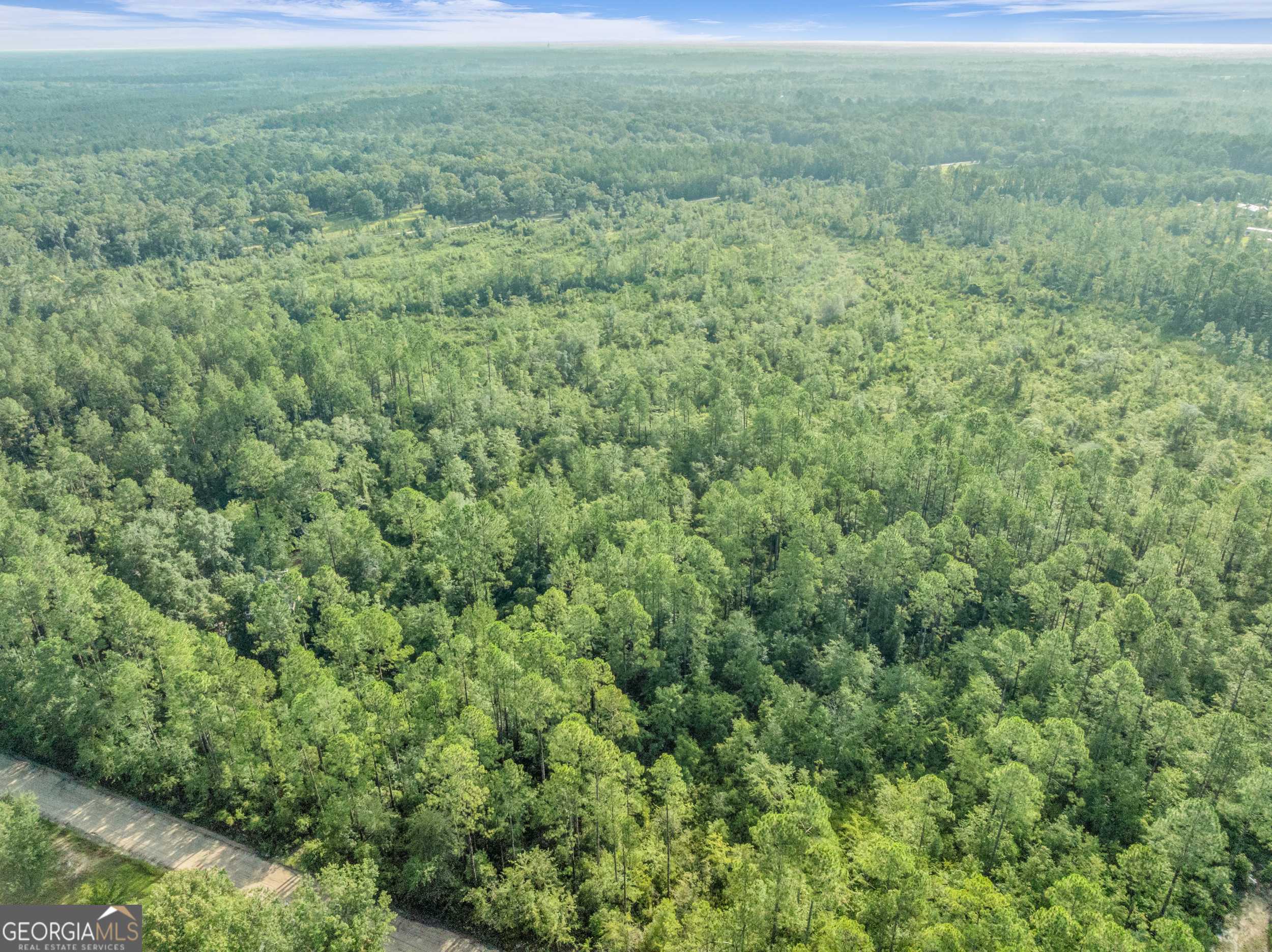 Hortense, GA 31543,0 Rattler RUN