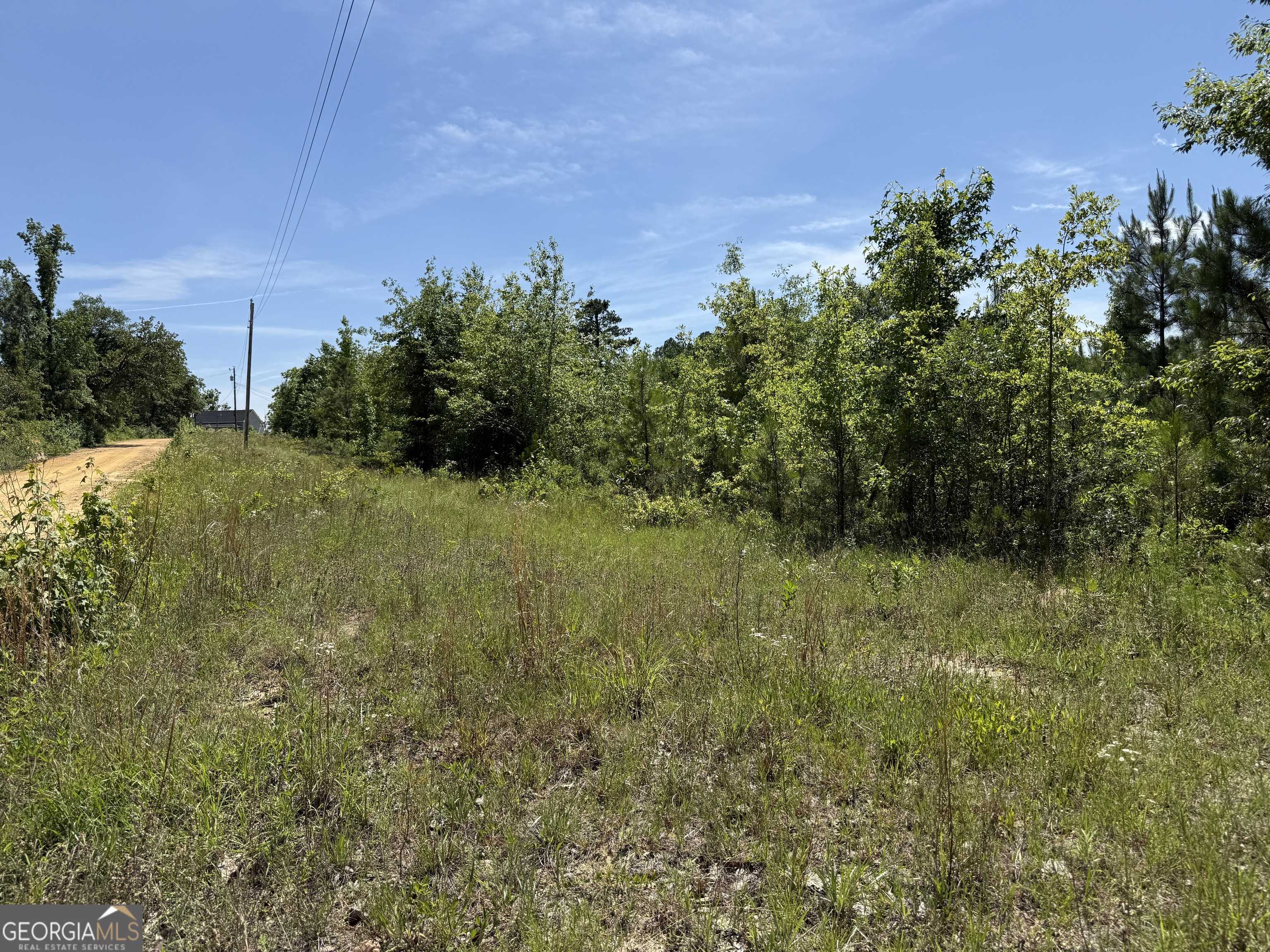 Adrian, GA 31002,12.37 ACRES- LO Perry Horton RD