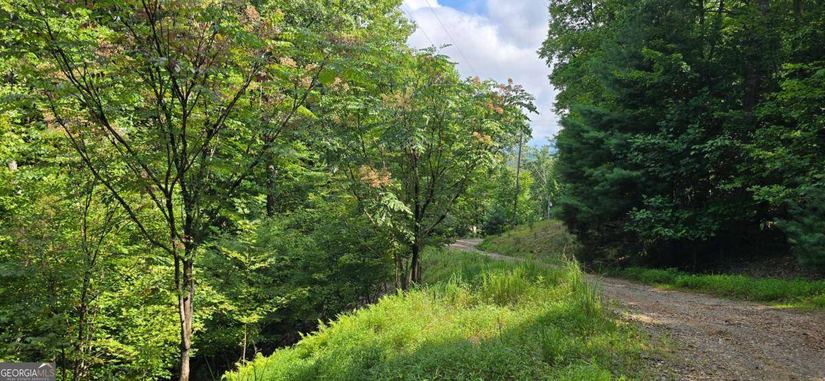 Morganton, GA 30560,6.51 AC High Country LN