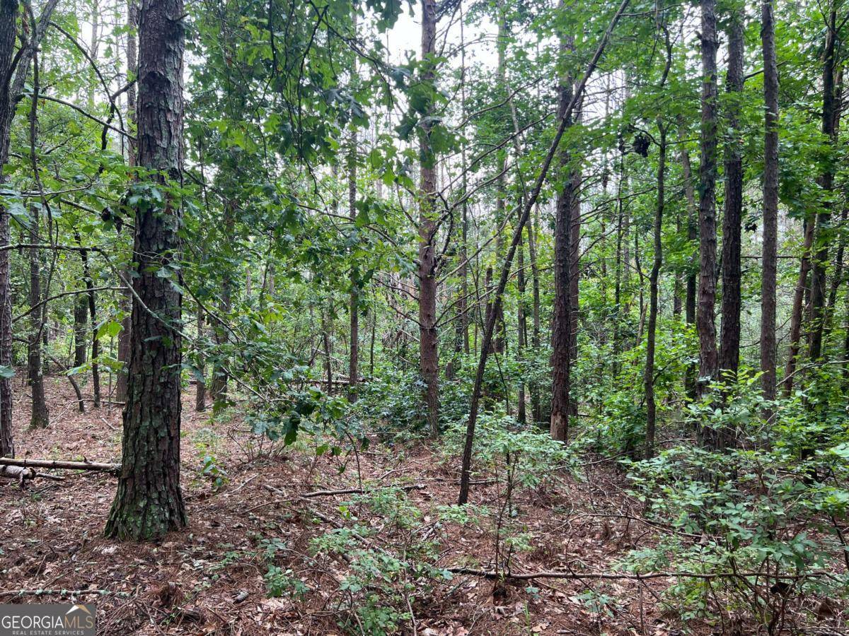 White, GA 30184,0 Timberwood RD NW #2