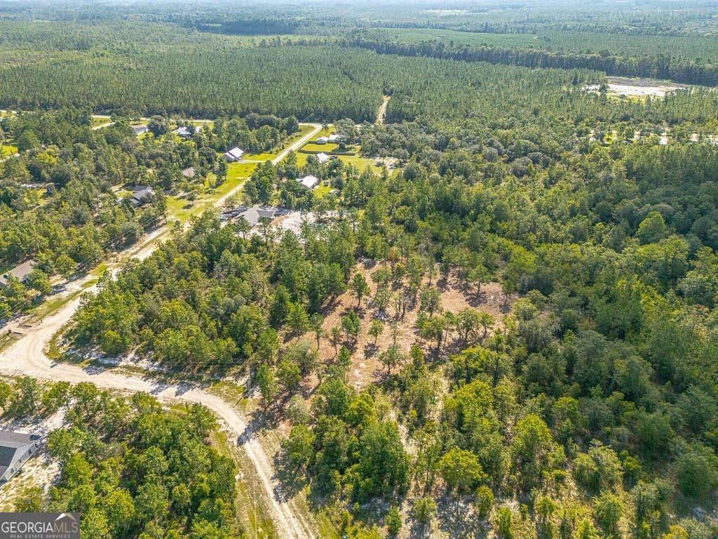 Waynesville, GA 31566,0 Red Gate RD