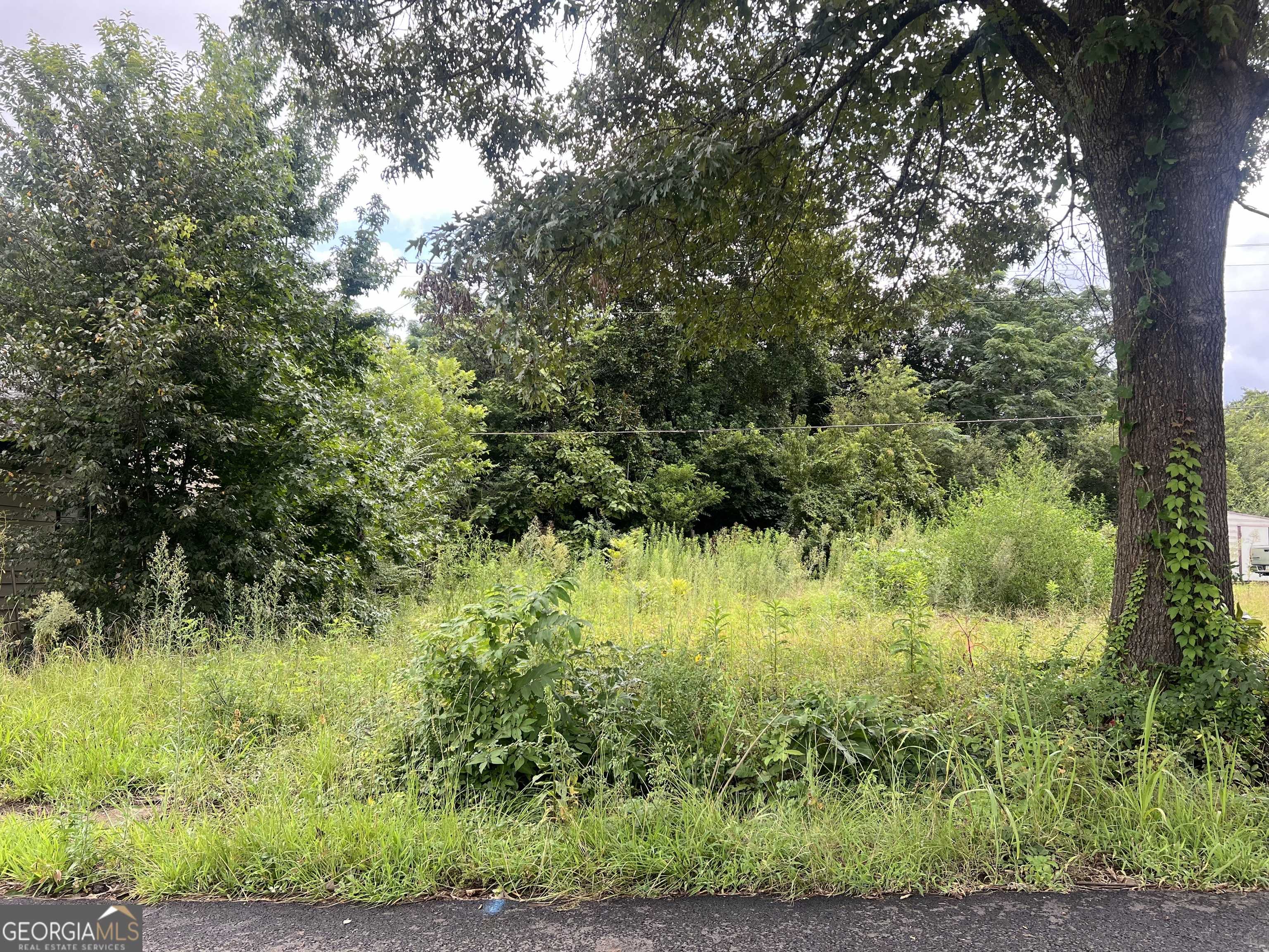 Thomaston, GA 30286,2283 Cook ST