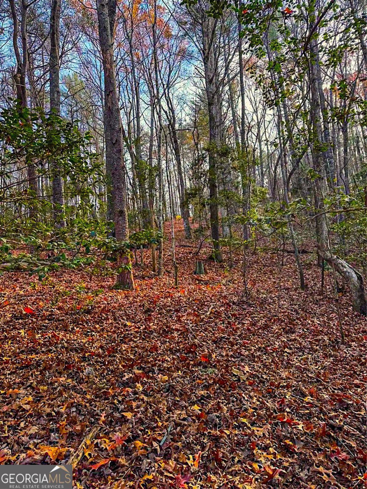 Dahlonega, GA 30533,00 LOT C Cavender Creek RD