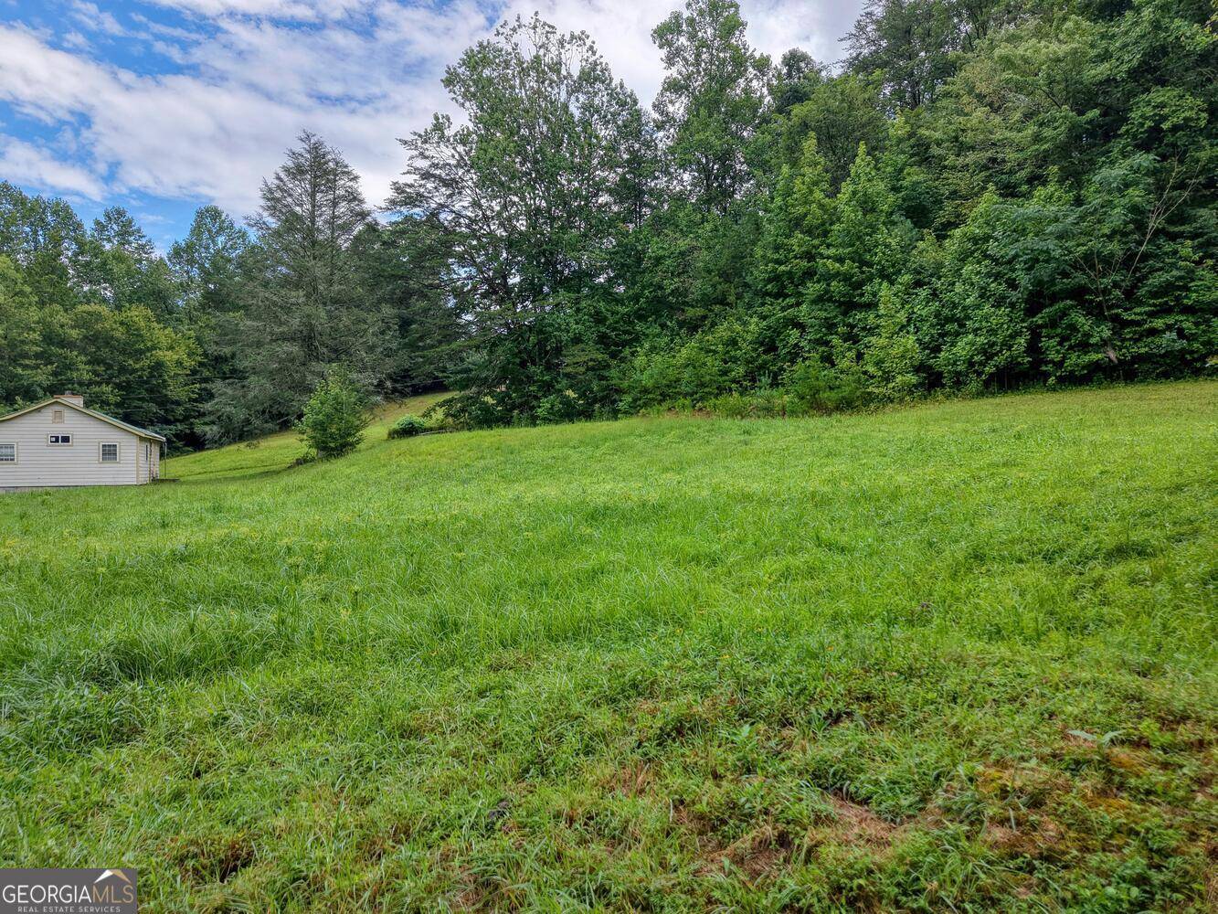 Epworth, GA 30541,580 Emmaus RD