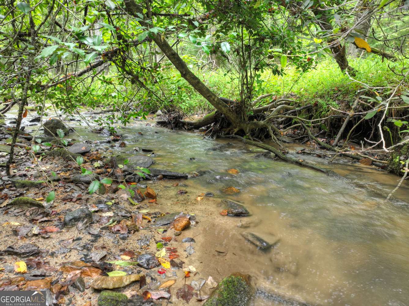 Mineral Bluff, GA 30559,LOT 45 Synacia DR