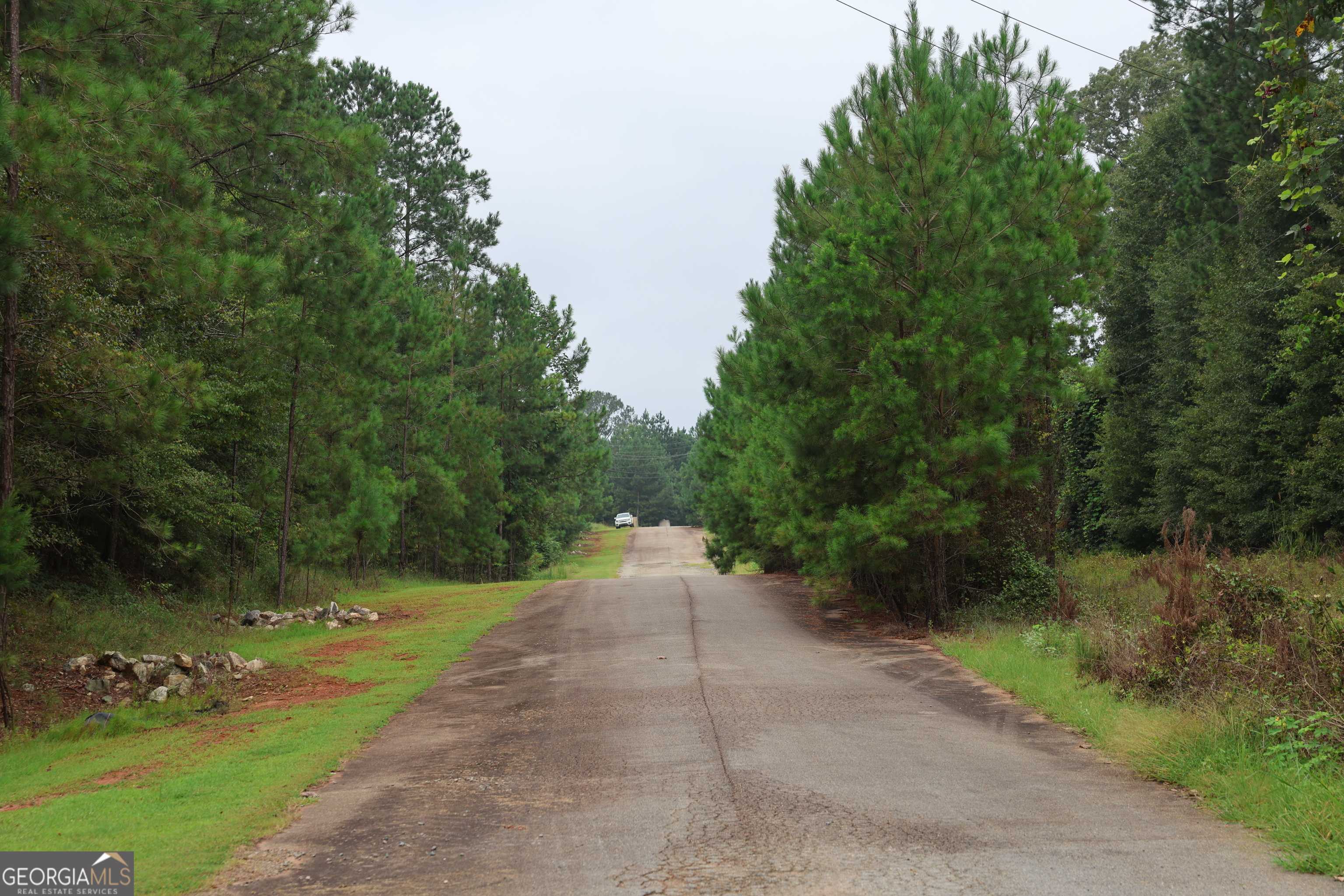 Americus, GA 31709,0 Littlefield DR