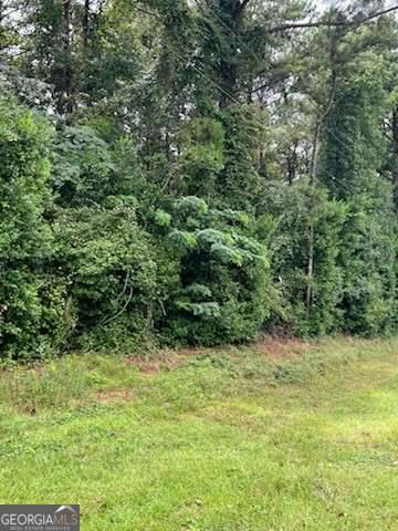 Cobb, GA 31735,0 N Spring Creek CIR