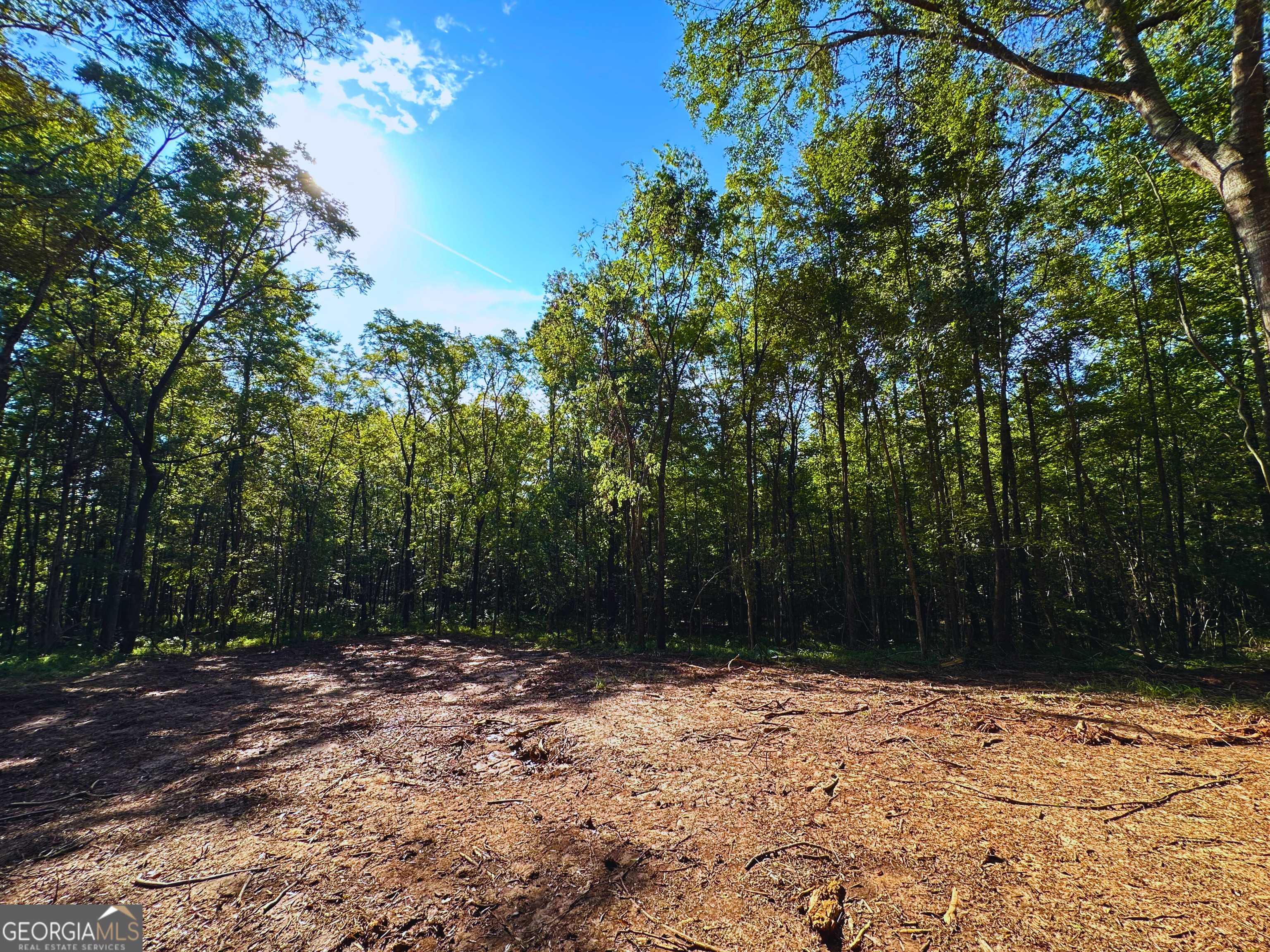 Haddock, GA 31033,119 Hough Johnson RD