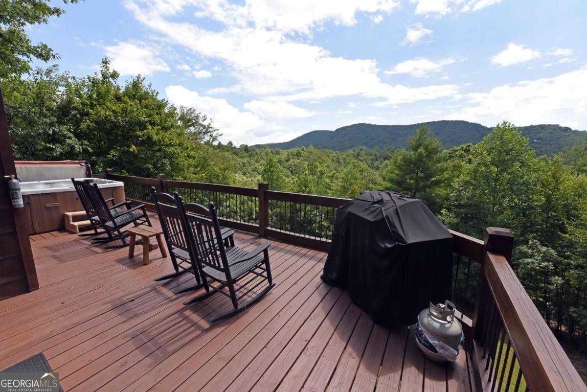 Mineral Bluff, GA 30559,71 Trinity Hills LN