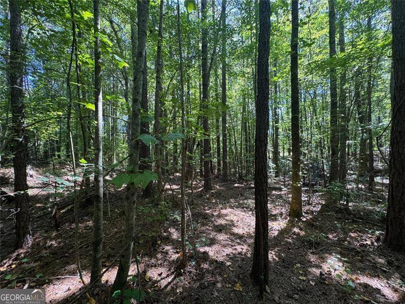 Acworth, GA 30101,91 Hickory Creek