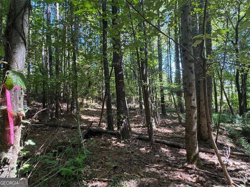 Acworth, GA 30101,63 Hickory Creek