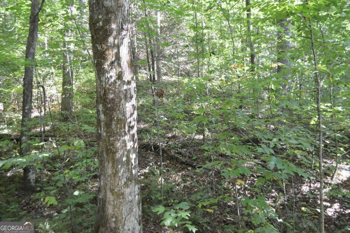 Clayton, GA 30525,LOT 5 Hemlock RDG