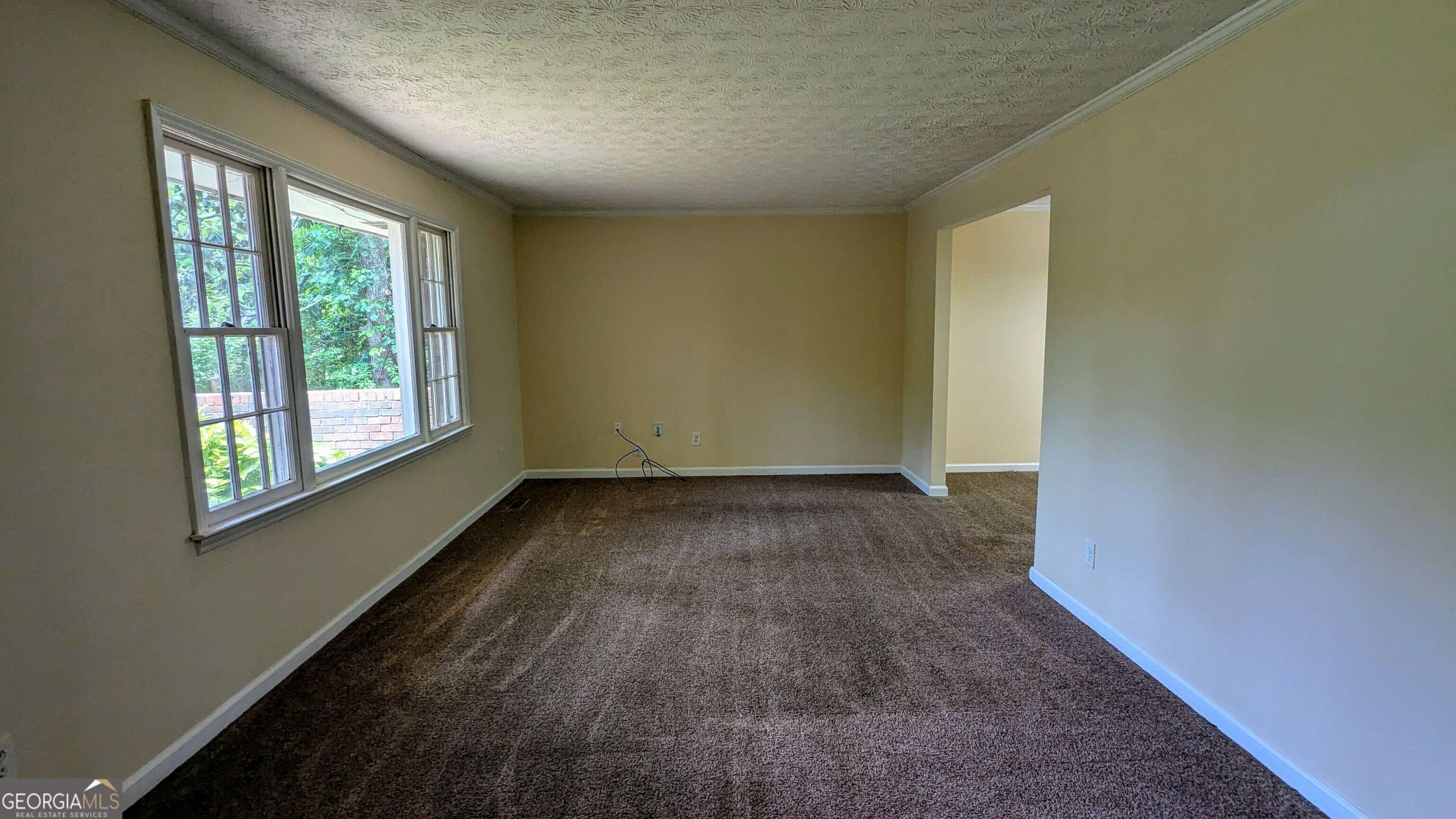 Lithonia, GA 30038,3656 Salem TRL