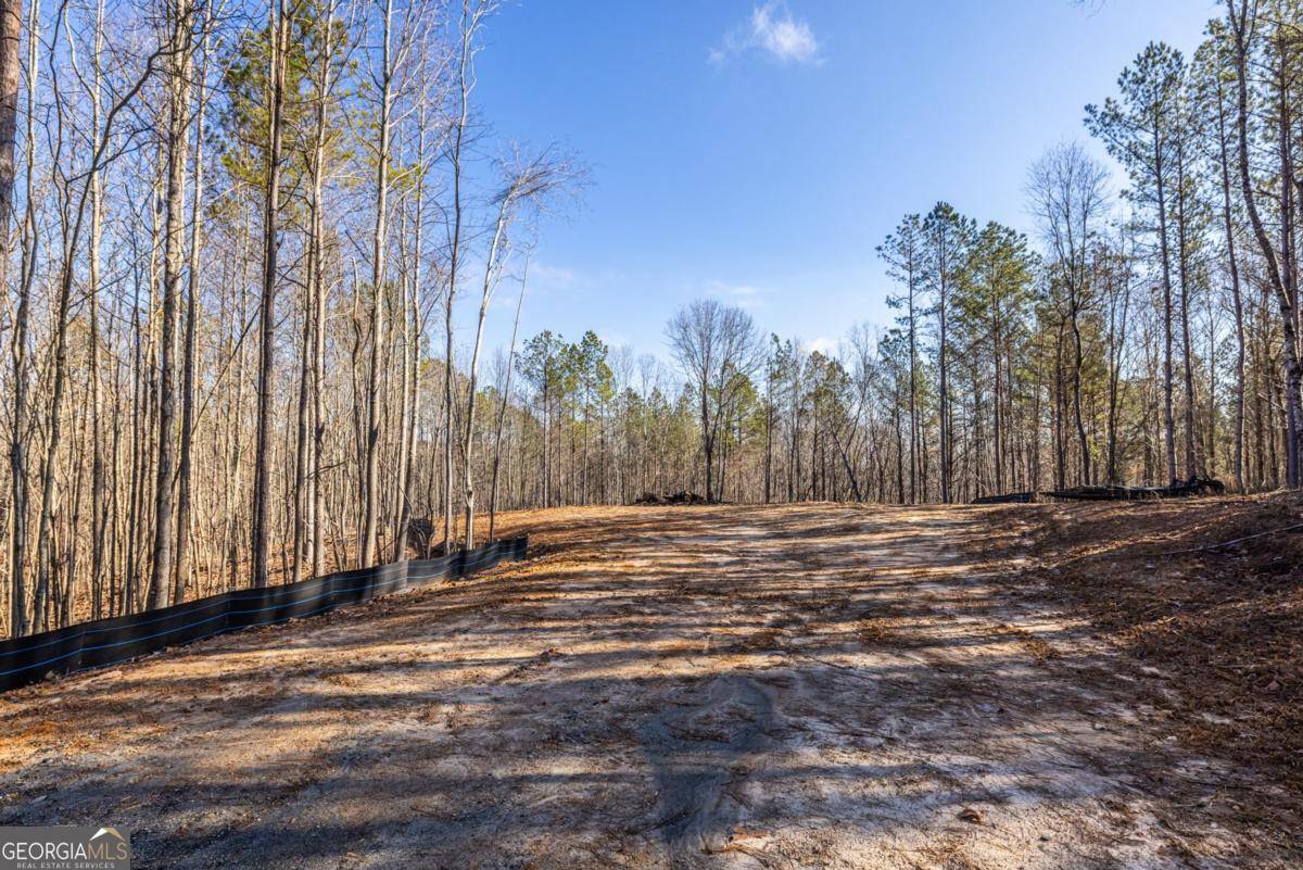 Dallas, GA 30132,451 Lone Bear PATH