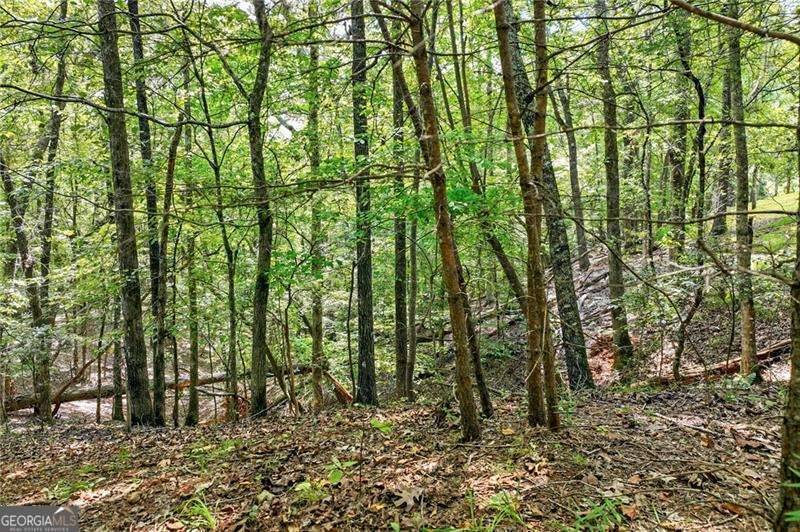 Dahlonega, GA 30533,0 Robinson RD