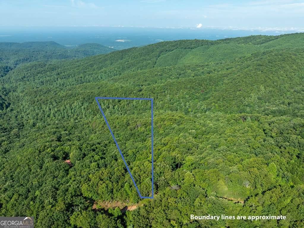 Chatsworth, GA 30705,LOT 9 Brushy Top DR