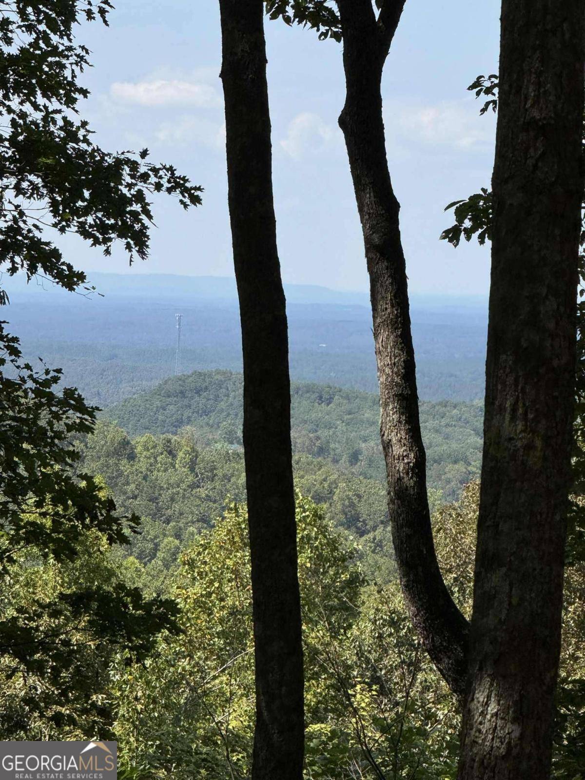 Ranger, GA 30734,1005 Mayfield LN NE