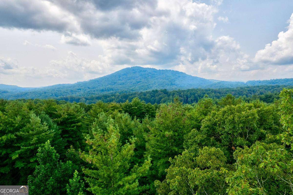 Mineral Bluff, GA 30559,21 Ac Bear Hollow DR