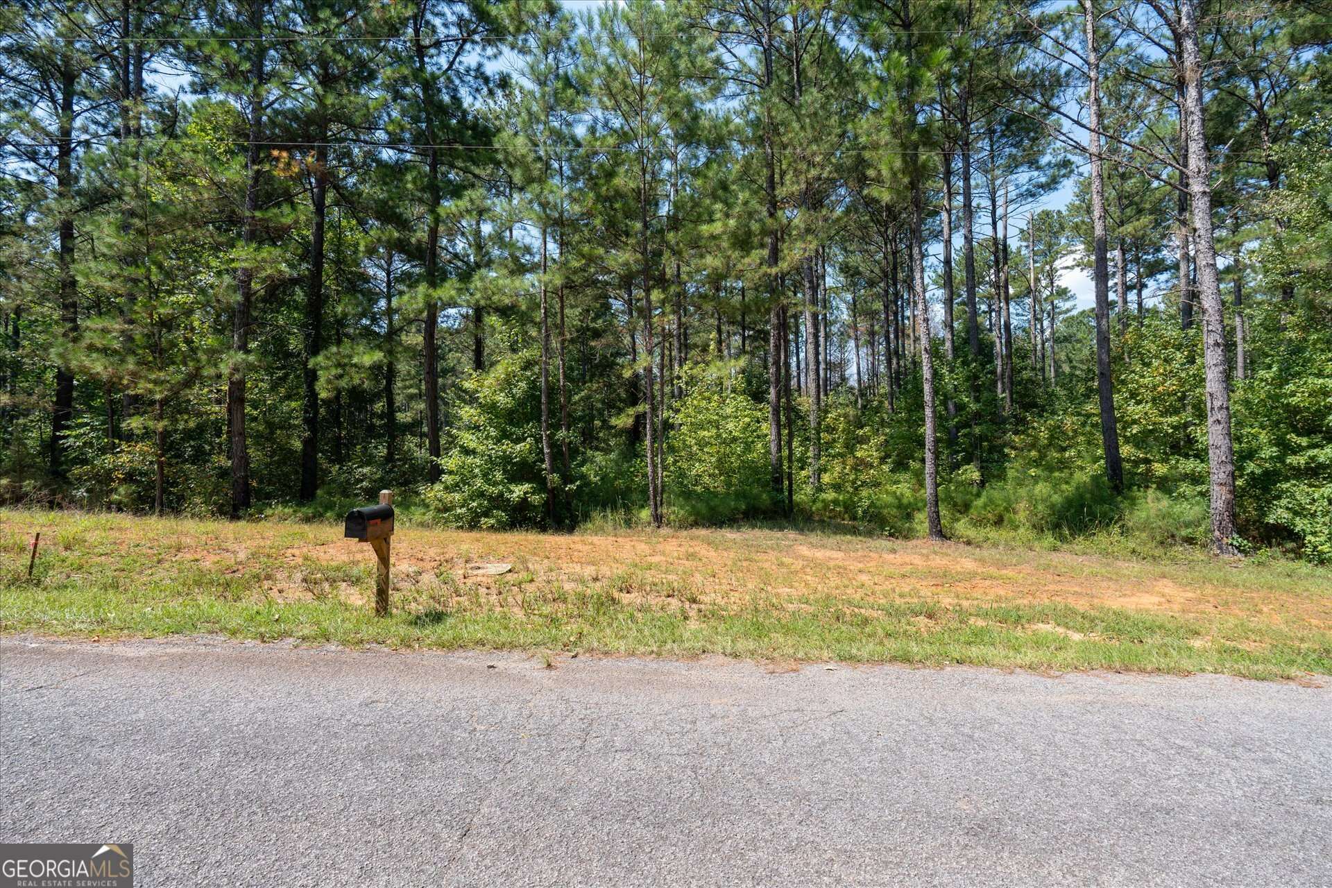 Carrollton, GA 30116,197 Shiloh Church RD