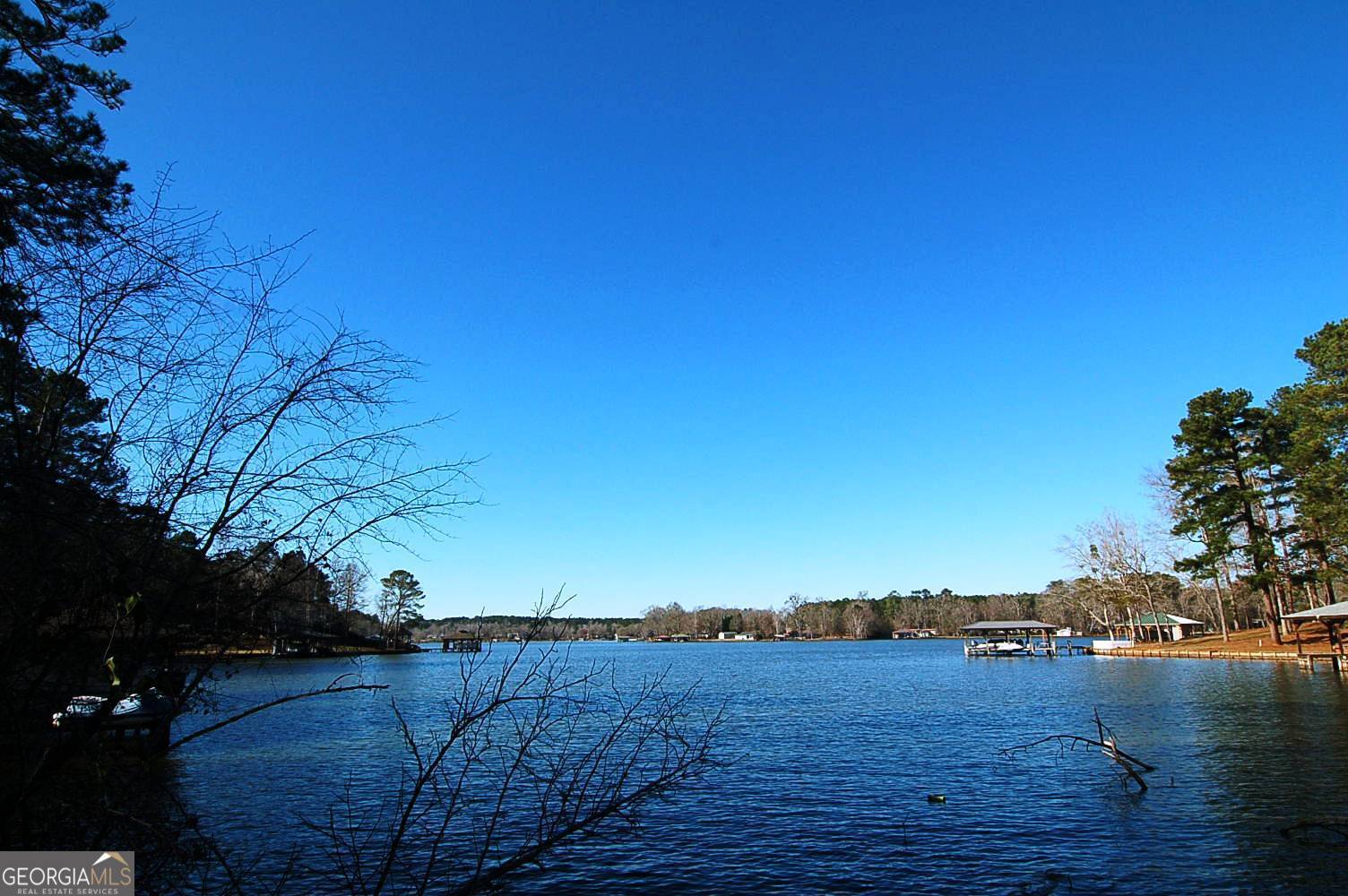 Sparta, GA 31087,LOT 12 Dogwood Drive