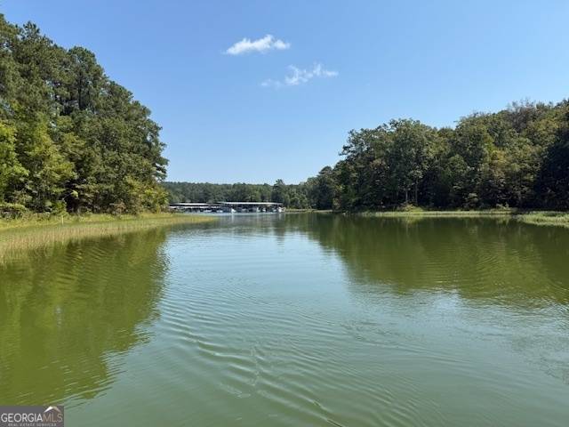 Elberton, GA 30635,2012 Lakeside DR #LOT 47 / BEAVERDAM LOT 48