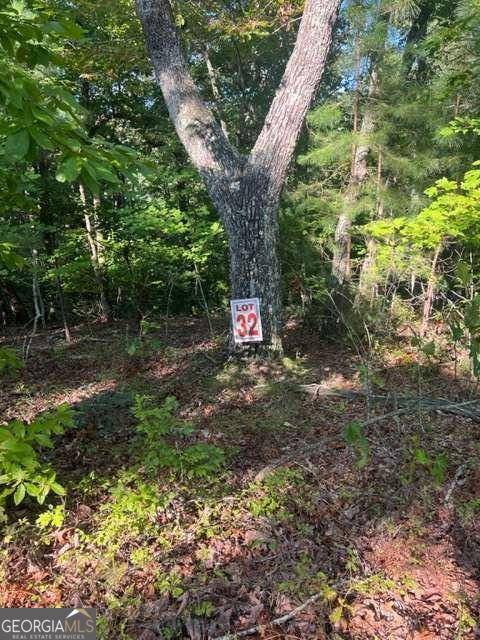 Ellijay, GA 30540,LT 32 Buck Creek RD