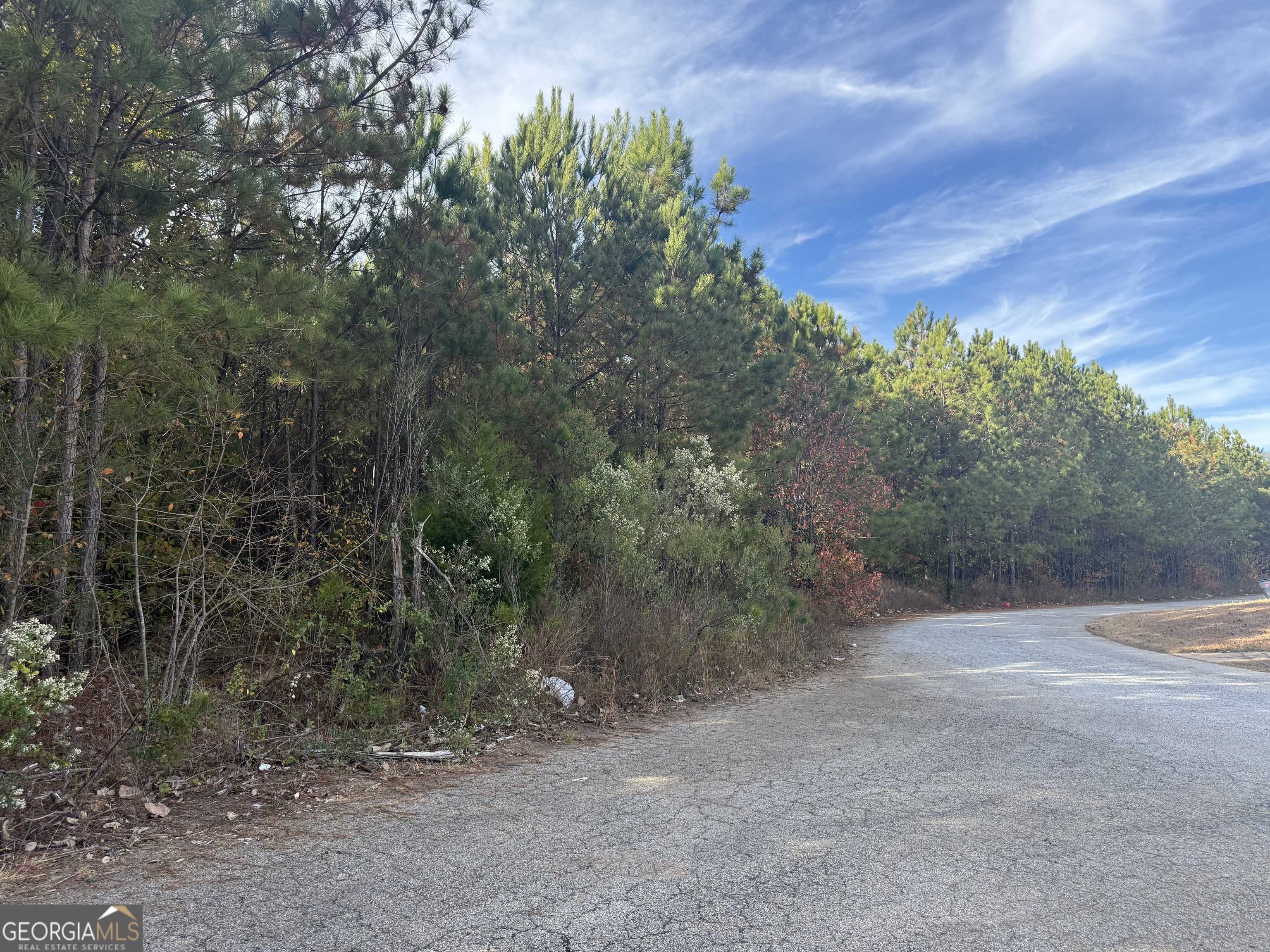 Riverdale, GA 30274,8644 Webb RD