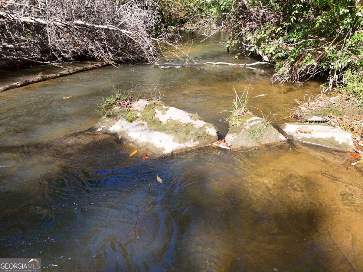 Mineral Bluff, GA 30559,LT 27/28 Donna Lee LN