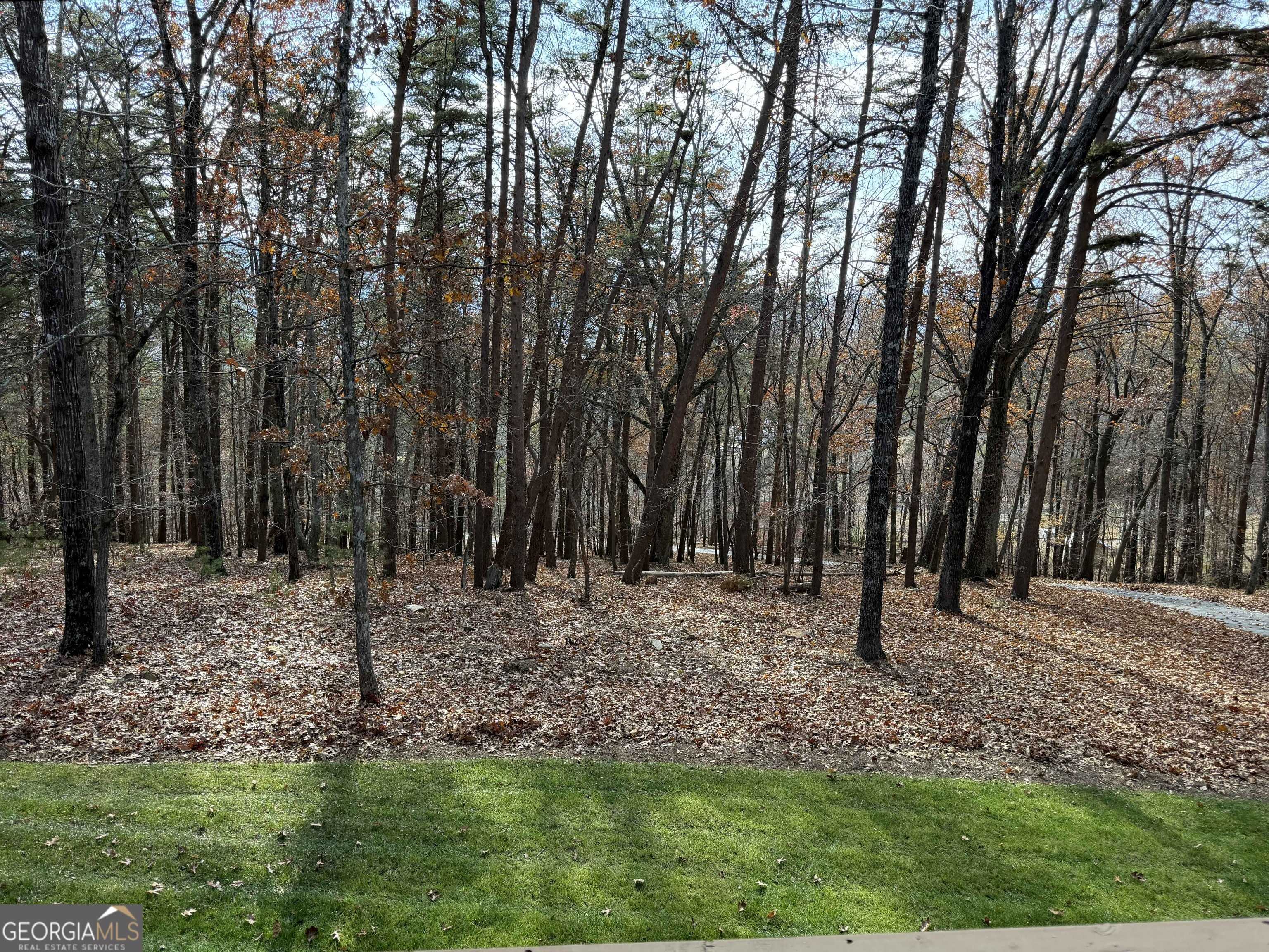 Rydal, GA 30171,509 E Valley RD NE